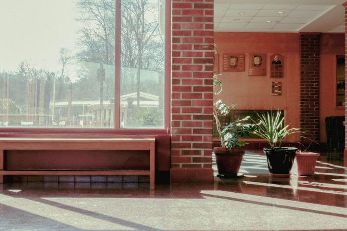 Online İngilizce Gramer Alıştırmaları